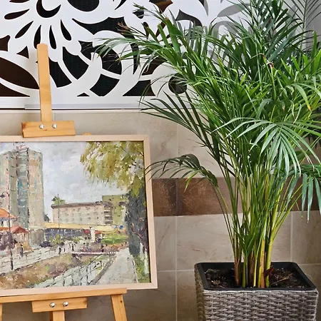 Hotel Complex Balnear 3*